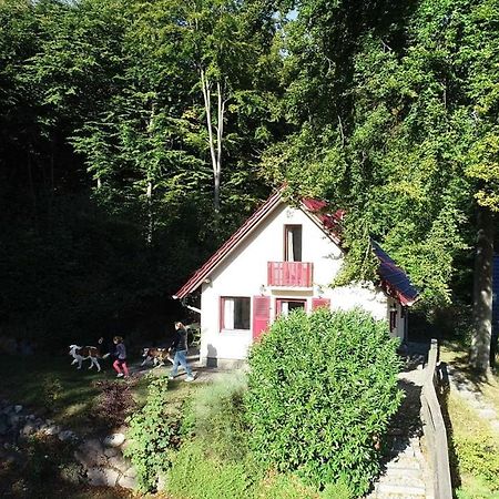 Sellin  Ferienhaus Rotkaeppchen 빌라 외부 사진